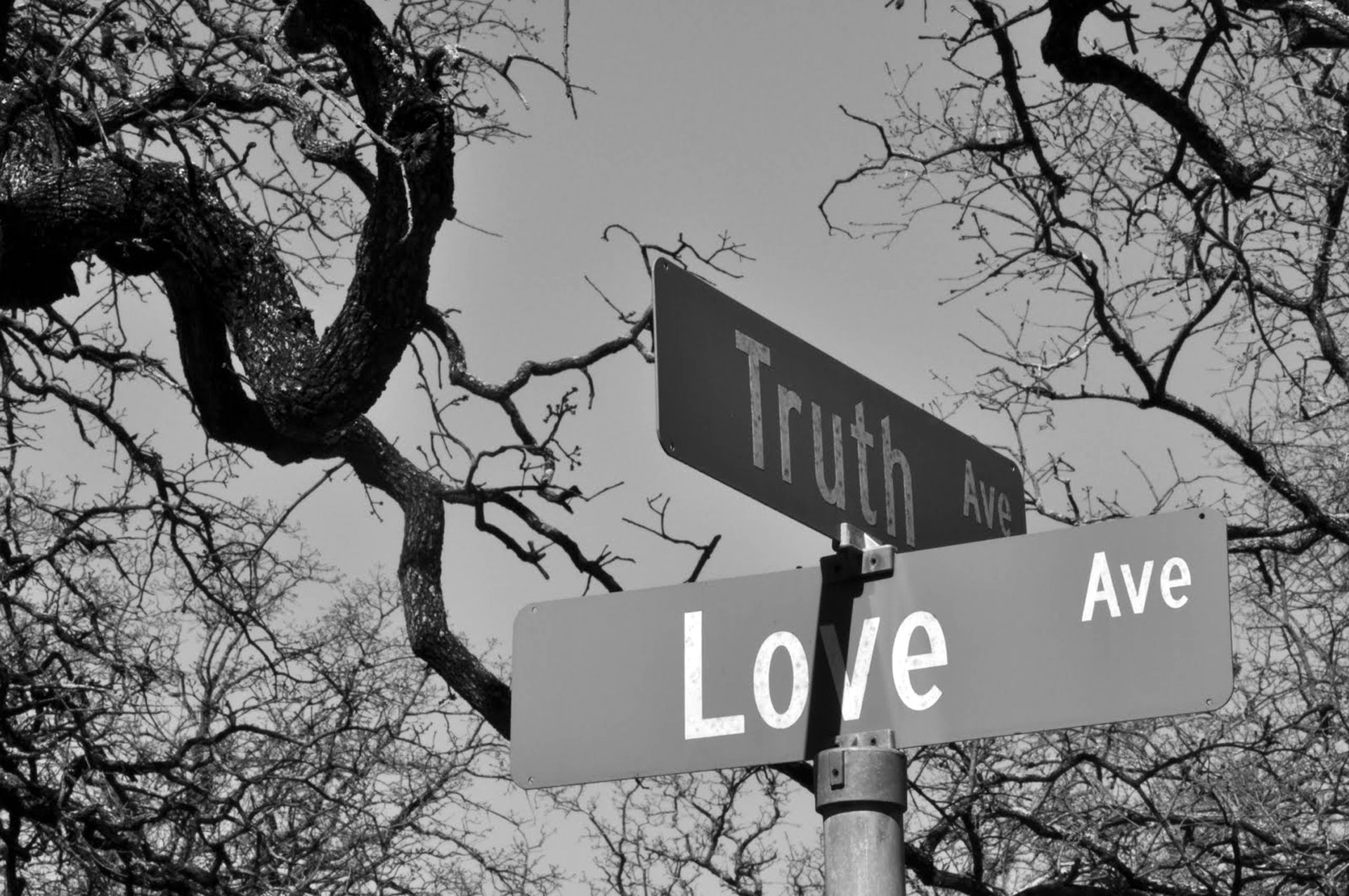 She tell me the truth. Truth красивая картинка. The Truth Love. The true Truth. The Truth and God are with us картинки.